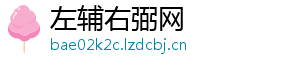 左辅右弼网